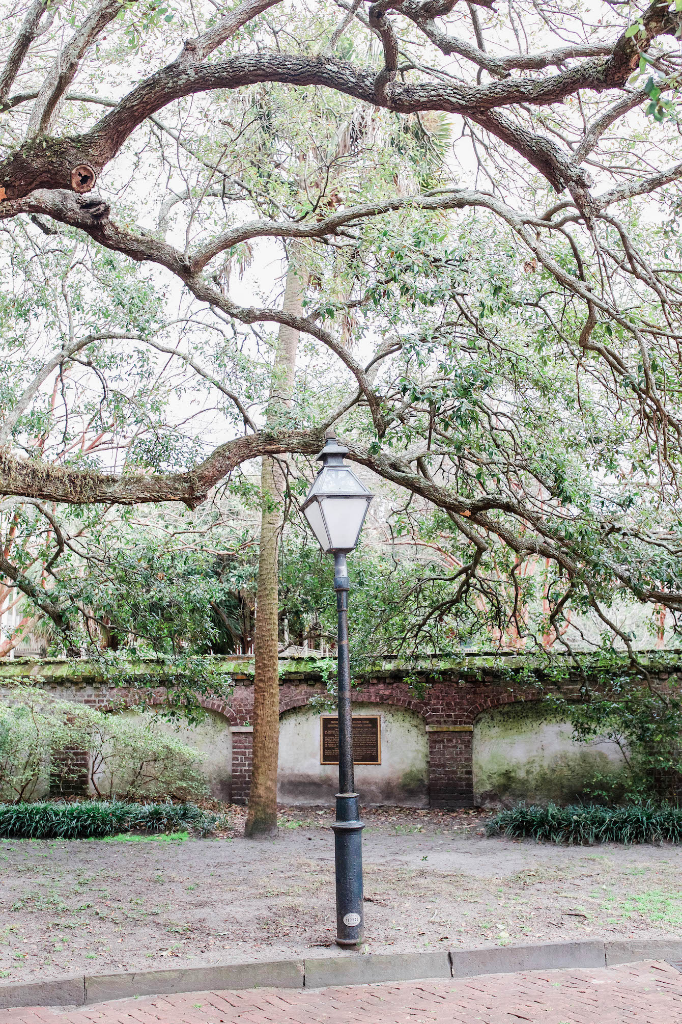 Charleston Travel Guide