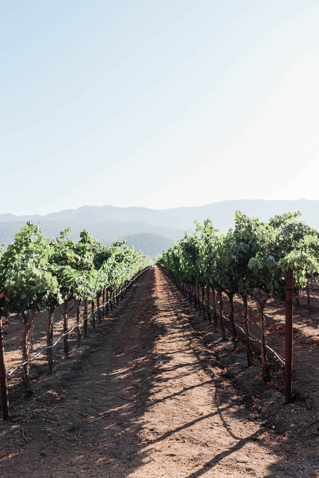 Weekend Guide to Napa Valley