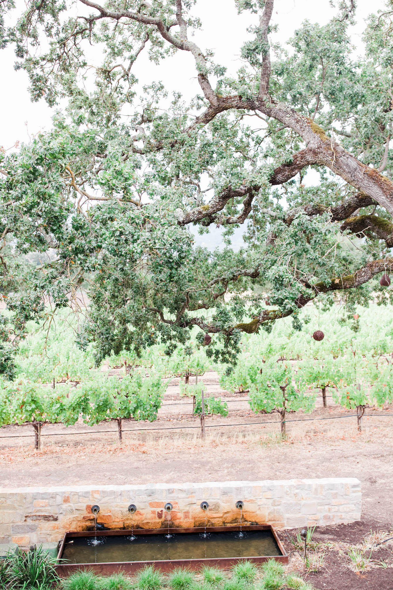 Weekend Guide to Napa Valley